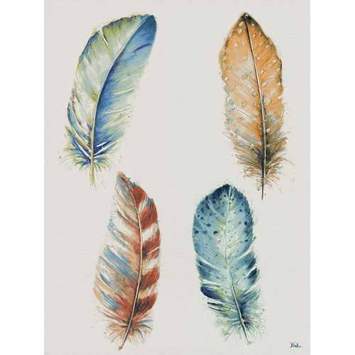 Four Colorful Feathers