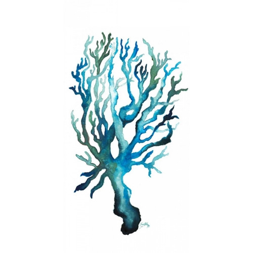 Aqua Creatures IV