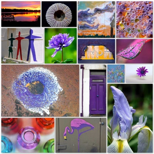 Purple Blossom Collage