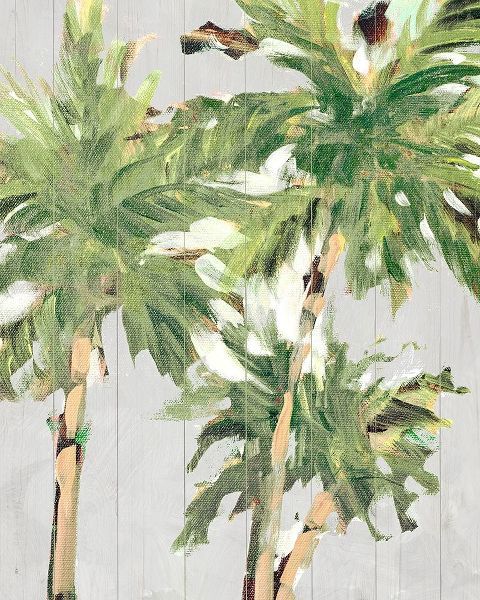 Caribbean Palm Trees