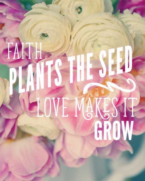 Faith Plants the Seed