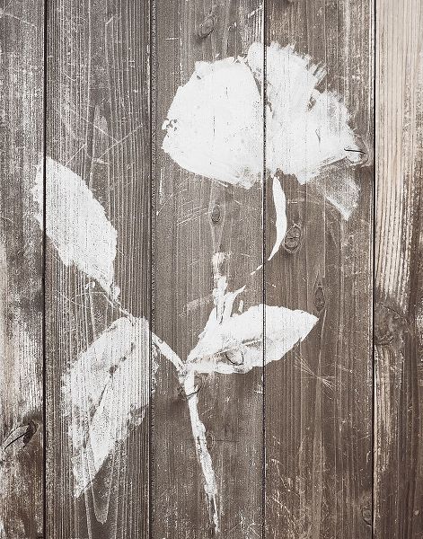 Loreth, Lanie 작가의 Brown Floral Whisper on Wood Background I 작품