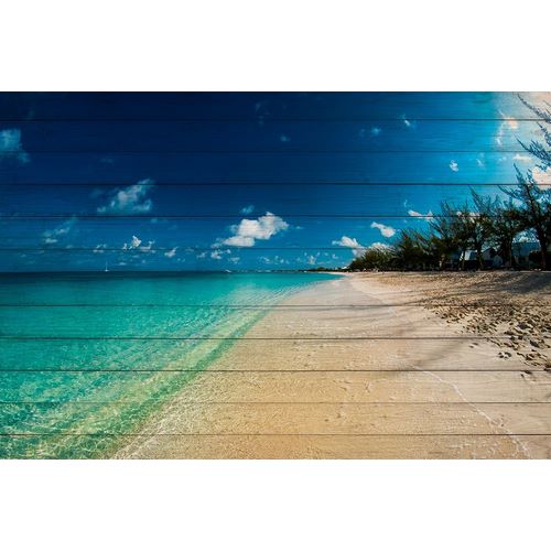 Cayman Islands Beach on Wood