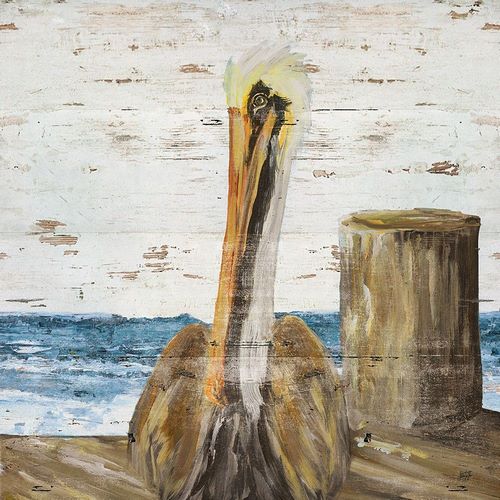 Pelican Watch II