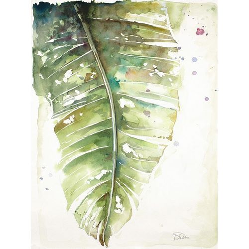 Watercolor Plantain Leaves I