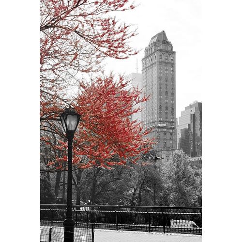 Central Park with Red Tree
