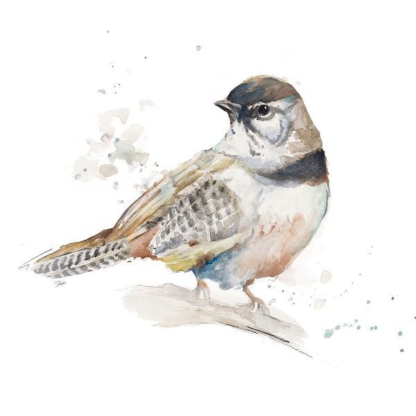 Watercolor Mountain Bird III