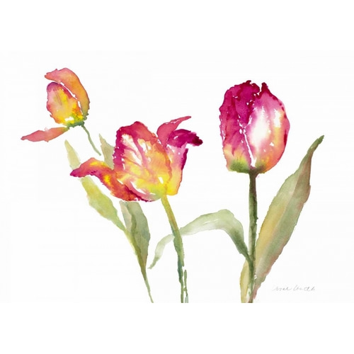 Pink Hues Tulips