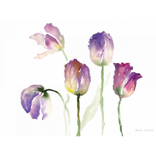 Lavender Hues Tulips II