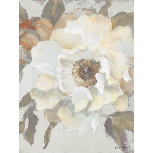 White Peony and Bloom