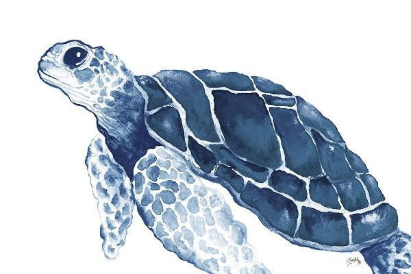 Turtle in the Blues