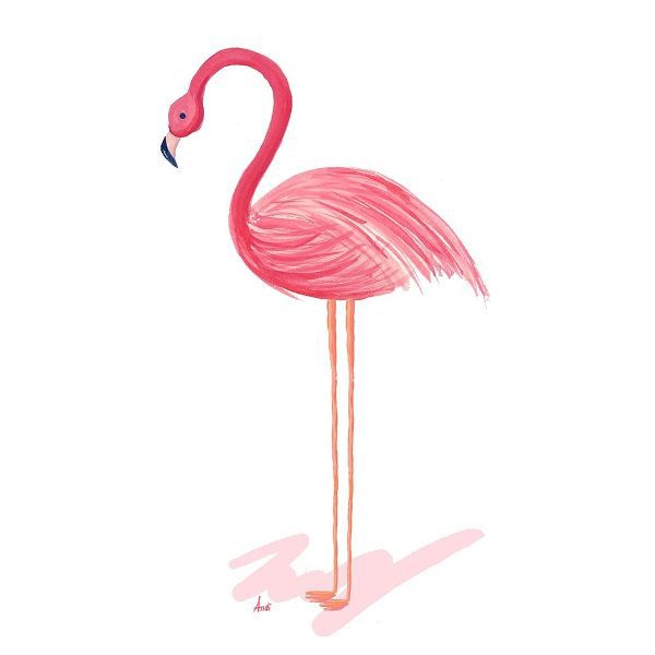 Flamingo Walk IV
