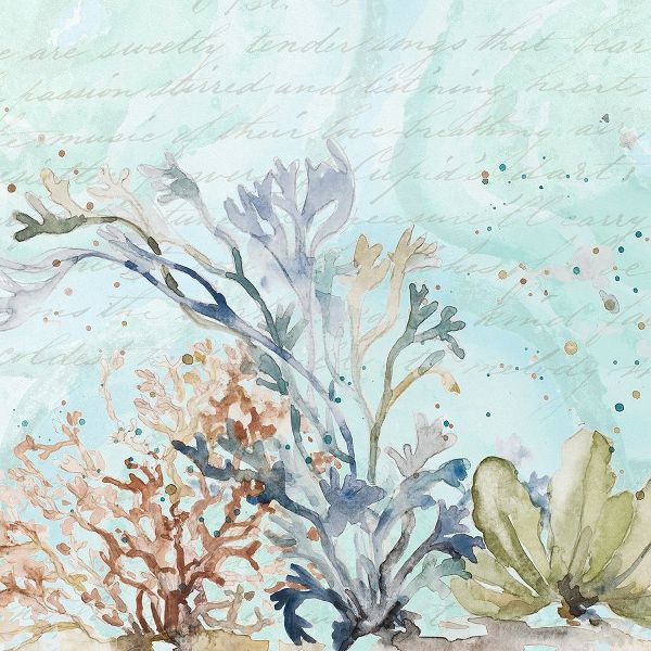 Pinto, Patricia 아티스트의 Seaweed Watercolor II작품입니다.