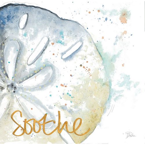 Soothe Water Sand Dollar