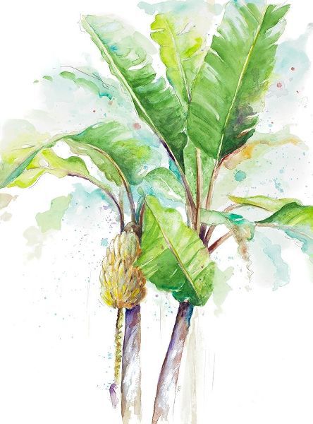 Watercolor Banana Plantain