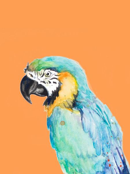 Pinto, Patricia 아티스트의 Parrot Portrait작품입니다.