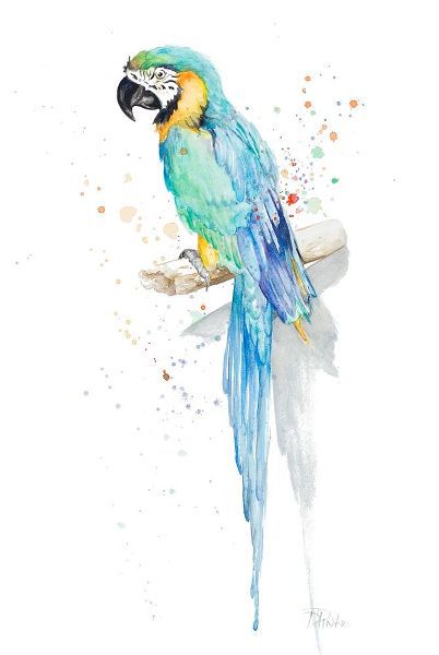 Watercolor Parrot