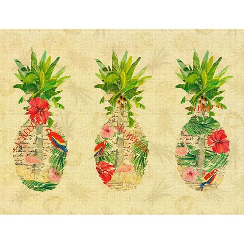 Triple Tropical Pineapple Collage
