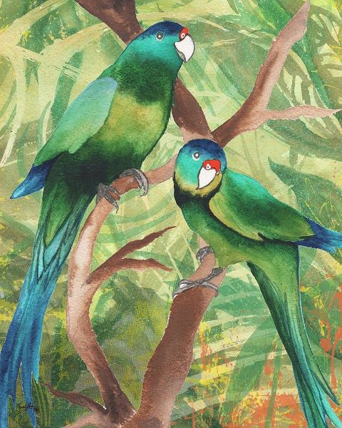 Tropical Birds II