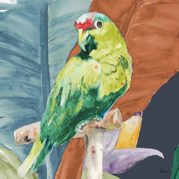Pinto, Patricia 아티스트의 Tropical Parrot작품입니다.