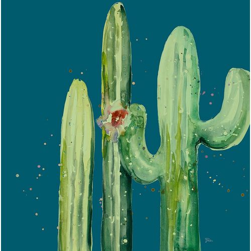 Pinto, Patricia 아티스트의 Natural Desert Cactus On Blue II작품입니다.