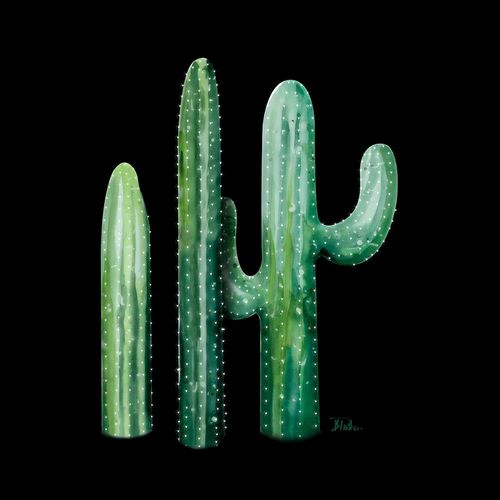 Cactus in Bloom on Black II