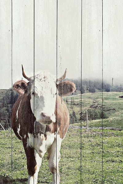 Country Cow on Wood