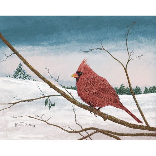Auburn Cardinal