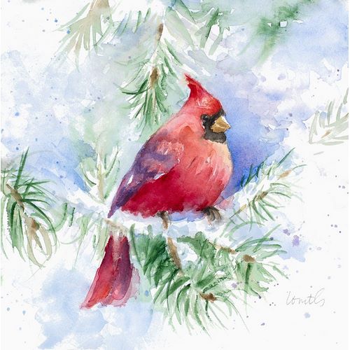 Cardinal in Snowy Tree
