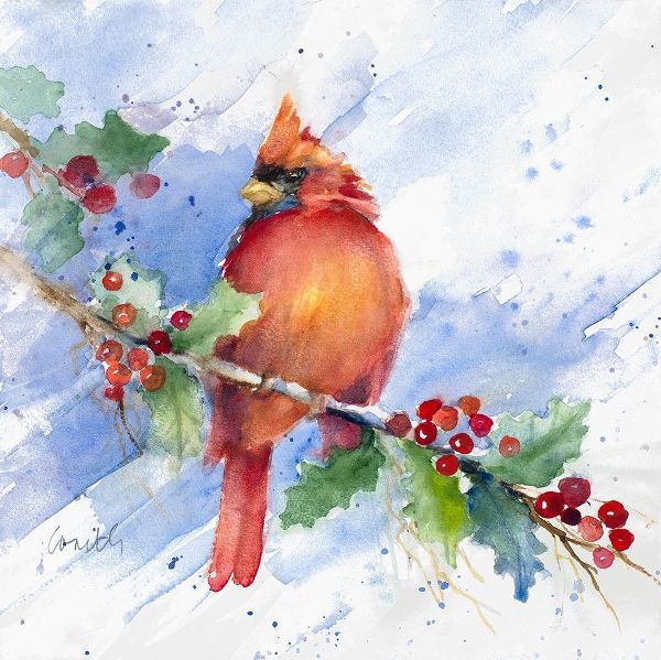 Cardinal on Holly Branch