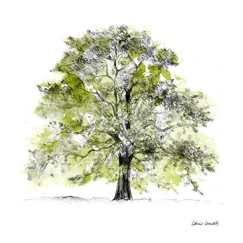 Tree with Green Leaves II