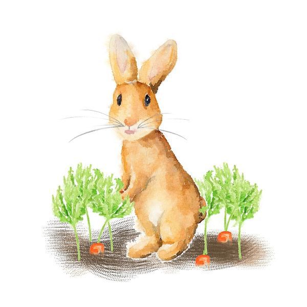 Spring Bunny IV