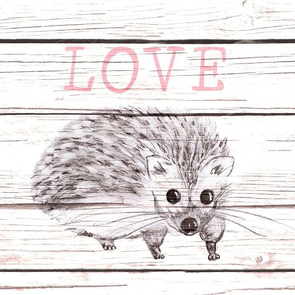 Hedgehog Love