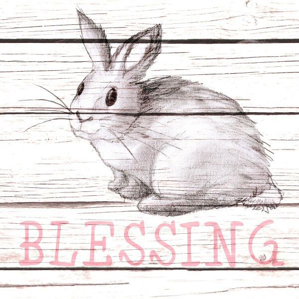 Rabbit Blessing