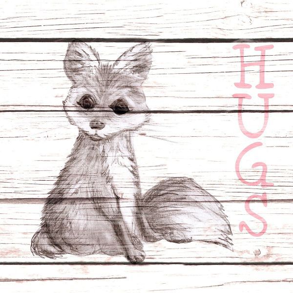 Fox Hugs