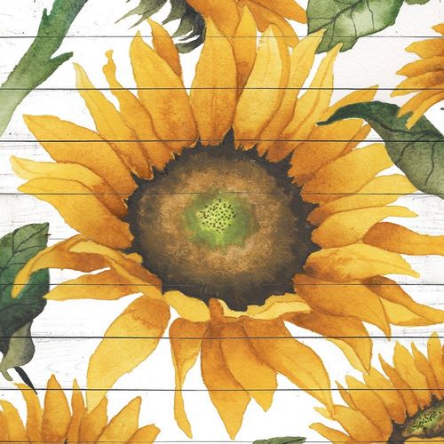 Happy Sunflower I