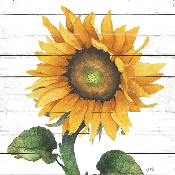Happy Sunflower II
