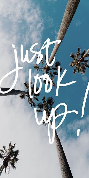 Just Look Up Panel