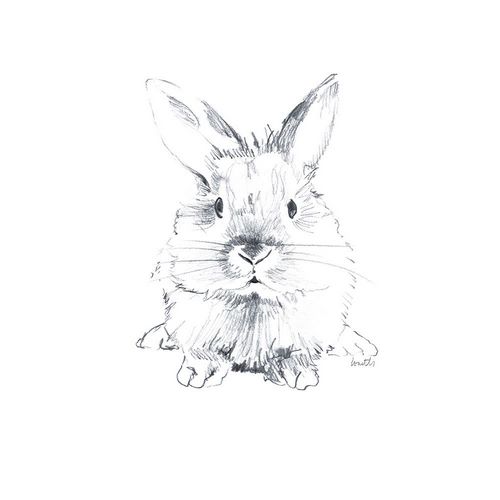 Sketched Rabbit V