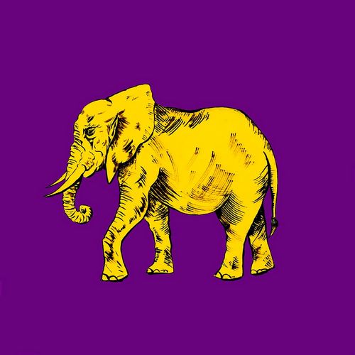 Pinto, Patricia 작가의 Elephant on Purple 작품