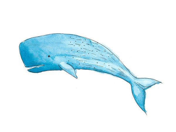 SD Graphics Studio 아티스트의 Great Blue Whale작품입니다.