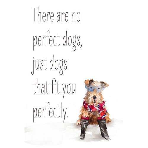 No Perfect Dogs