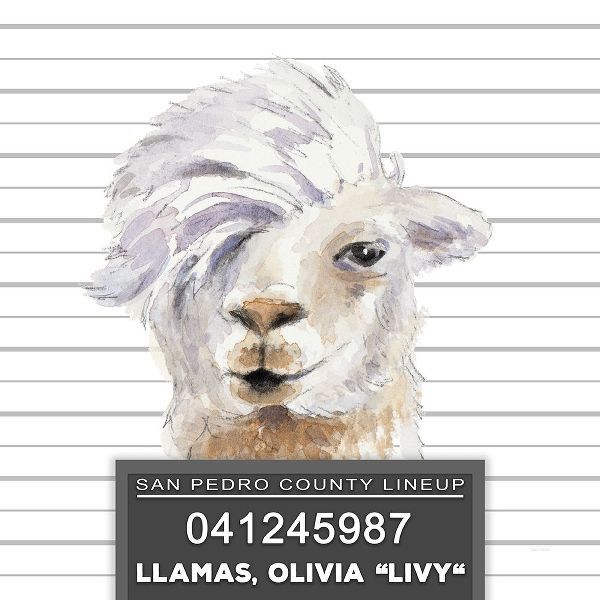 Llamas Livy