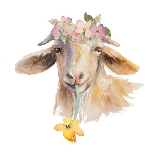 Flower Goat
