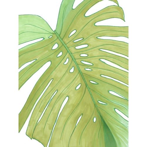 Eco Friendly Palm