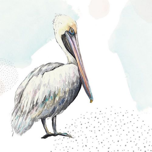 Turquoise Pelican