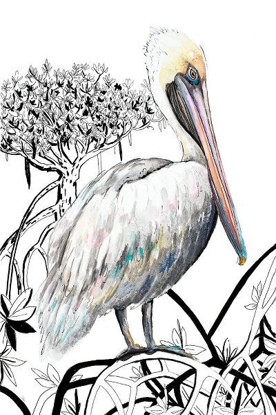 Pelican on Branch II