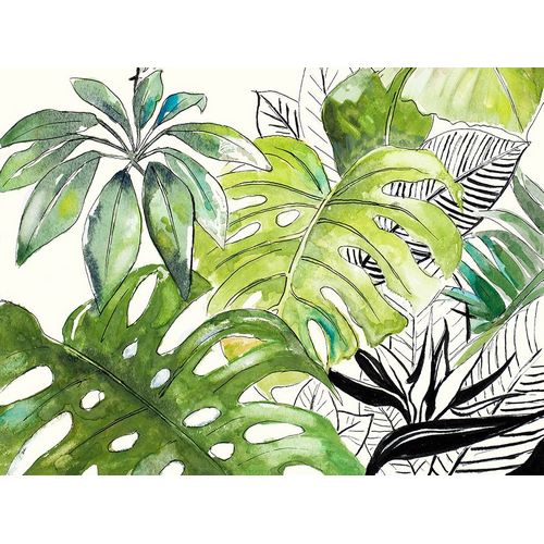 Green Palms Selva I