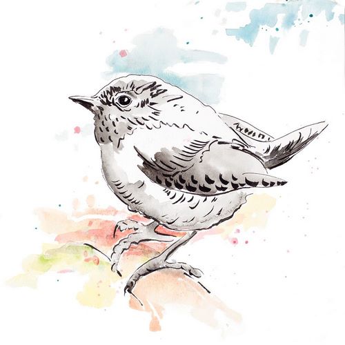 Bird Sketch II