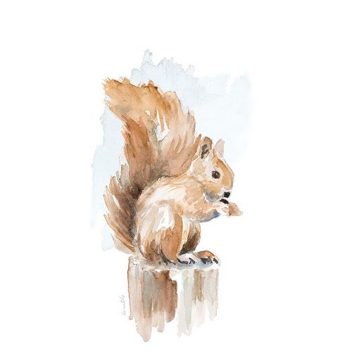Watercolor Squirrel